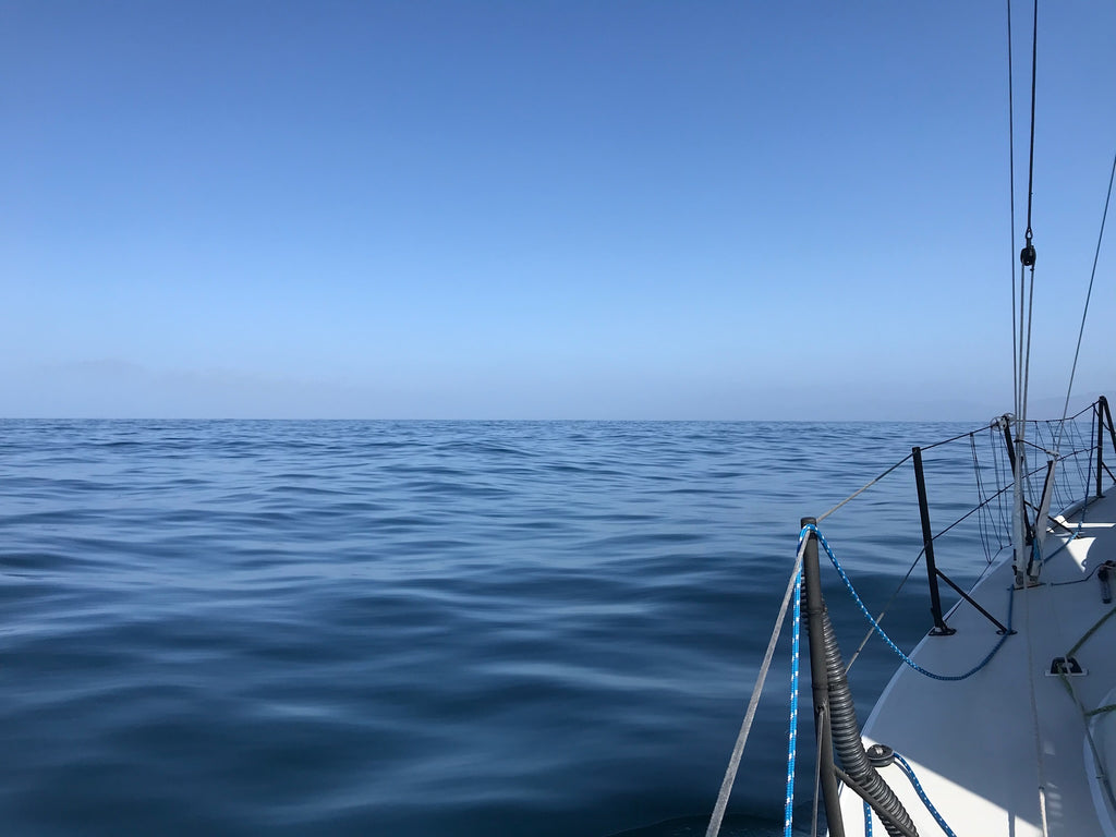 sailboat race malibu